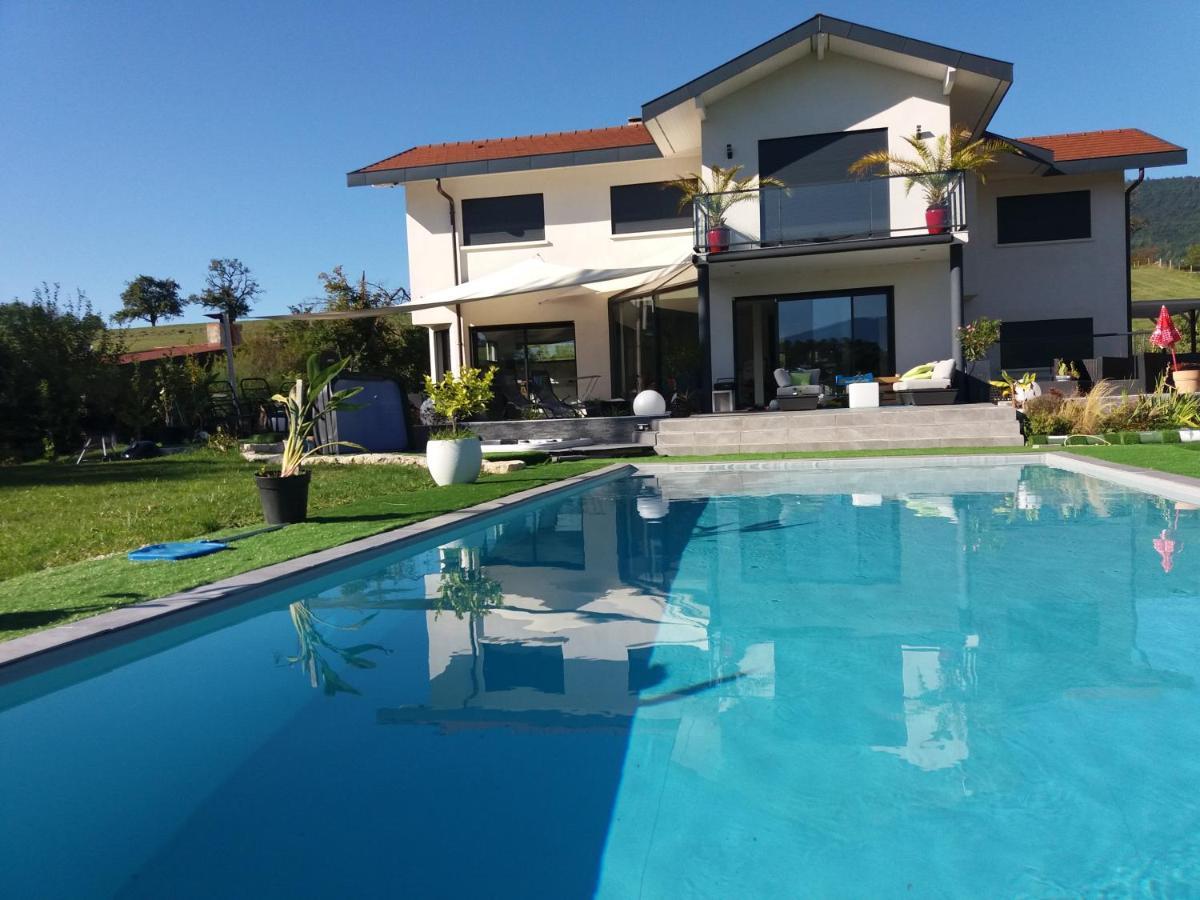 Chambres, Cuisine, Piscine, Spa, Billards, Airhockey, Nature Fillinges エクステリア 写真